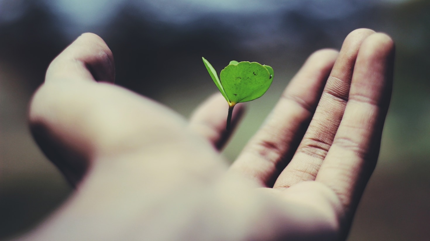 Sevgiyle Şifa: Reconnective Healing®’in Gücü